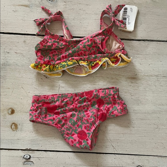 Roberta Roller Rabbit Pink and Green Floral Bikini - Picture 1 of 1